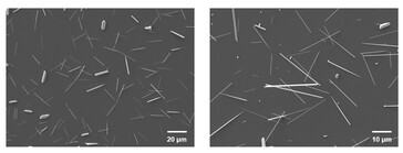 Imagens de microscópio eletrônico de varredura dos nanofios de telúrio no implante de retina. (Fonte da imagem: Science. DOI: 10.1126/science.adu2987)