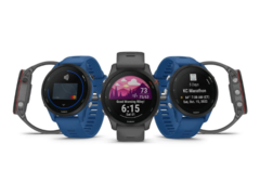 O Garmin Public Beta Versão 14.08 causou problemas que levaram a um reinício em alguns smartwatches. (Fonte da imagem: Garmin)