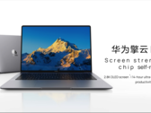 O Qingyun L420z na cor cinza espacial