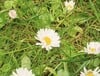 zoom de 5x