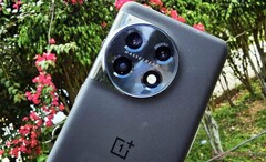 O OnePlus 11 permanecerá como o único carro-chefe da empresa até o OnePlus 12, na foto anterior. (Fonte da imagem: NotebookCheck)