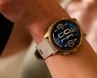 Os usuários do smartwatch Garmin Fenix 8 AMOLED (foto) relataram um problema de brilho. (Fonte da imagem: Garmin)