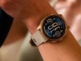 Os usuários do smartwatch Garmin Fenix 8 AMOLED (foto) relataram um problema de brilho. (Fonte da imagem: Garmin)