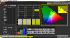 Saturação CalMAN (perfil: aprimorado, espaço de cores de destino: sRGB)