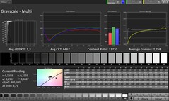 Escala de cinza CalMAN