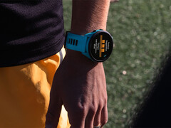 A Garmin retornou ao seu programa Beta do Forerunner após uma breve pausa para resolver erros que estavam causando falhas no sistema em uma versão recente. (Fonte da imagem: Garmin)
