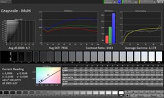 CalMAN Grayscale (Escala de cinza)