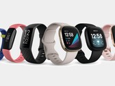 Todos os dispositivos atuais da Fitbit, exceto o Ace 3, agora suportam o gerenciamento do estresse. (Fonte de imagem: Fitbit)