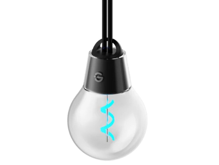 As Govee Outdoor Filament String Lights têm uma lâmpada em forma de globo. (Fonte da imagem: Govee)