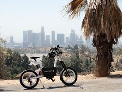 A edição americana do Delfast California e-bike tem um motor Bafang com até 160 Nm de torque. (Fonte da imagem: Delfast)