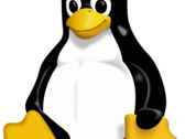 Graças ao Steam, Proton GE e Valve, jogar no Linux é muito mais fácil do que o senhor imagina. (Fonte: Wikipedia)