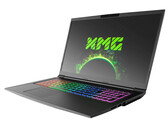 Breve Análise do Portátil Schenker XMG Core 17 (Core i7-9750H, GeForce GTX 1660 Ti, Tela de 144-Hz) Tongfang GK7CP6R