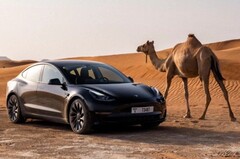 Além do popular Tesla Model Y, o Model 3 também foi testado em condições extremamente quentes (Imagem: Tesla)