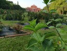 Redmi Note 13 5G: Câmera principal de 108 MP
