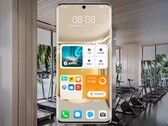 Dispositivos como o P50 Pro receberam várias novas características com a última atualização do sistema operacional da Huawei. (Fonte de imagem: Huawei)