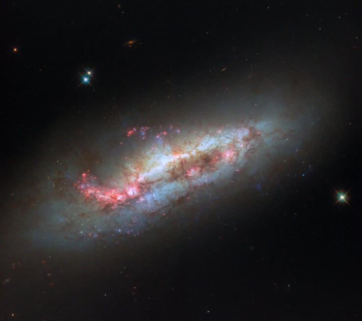 Imagem do Hubble da NGC 1151 (Fonte da imagem: ESA/Hubble, NASA e D. Thilker)