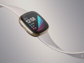 O Fitbit Sense pode ser o último navio de bandeira Fitbit smartwatch rodando Fitbit OS. (Fonte de imagem: Fitbit)