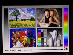 Amplos ângulos de visão OLED