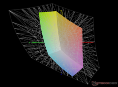 vs. Adobe RGB: 40,7% de cobertura