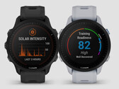 A série Forerunner 955 é uma das muitas novidades que a Garmin introduziu este ano. (Fonte da imagem: Garmin)