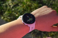 Há rumores de que a Garmin está substituindo o Forerunner 55 pelo Forerunner 65 ou Forerunner 165. (Fonte da imagem: Garmin)