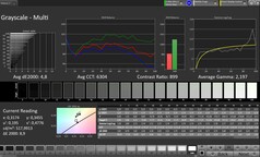 CalMAN Grayscale (Escala de cinza)