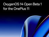 A OnePlus agora está oferecendo o Android 14 em versão beta para o OnePlus 11. (Fonte da imagem: OnePlus)