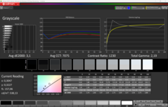 CalMAN Grayscale (Escala de cinza)