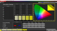 CalMAN Saturação calibrada (DCI-P3 color target space)