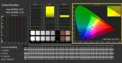 CalMAN - ColorChecker (calibrado)