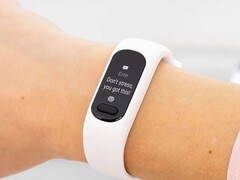 Alguns usuários têm relatado problemas com a pulseira do Vivosmart 5. (Fonte da imagem: Garmin)