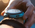 Um pôster da Garmin, que gerou rumores de um novo relógio, estava na verdade anunciando uma venda do Forerunner 265 (foto). (Fonte da imagem: Garmin)