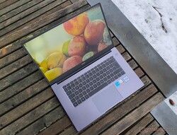 Em revisão: Huawei MateBook D 15 Intel (2021), fornecido pela Huawei Alemanha.