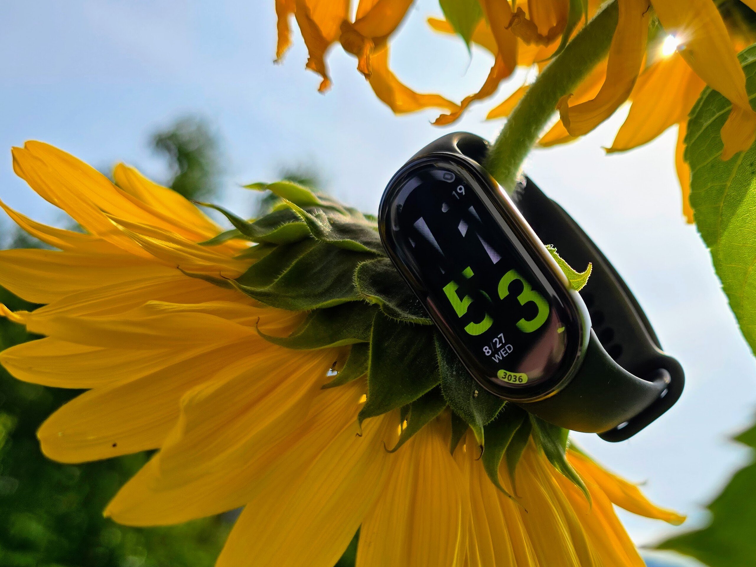 No teste: Xiaomi Smart Band 10