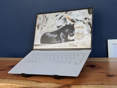 Os ganhos de eficiência com o Panther Lake tornam o ExpertBook Ultra bastante especial do ponto de vista dos jogos (Fonte da imagem: Notebookcheck)