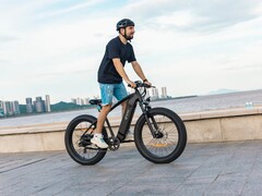 O DYU King 750 e-bike de pneu gordo tem uma velocidade máxima de 45 kph (~28 mph). (Fonte da imagem: DYU)