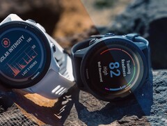 A versão 17.21 do Garmin Public Beta já está disponível para vários modelos do Forerunner, incluindo o 955 (acima). (Fonte da imagem: Garmin)