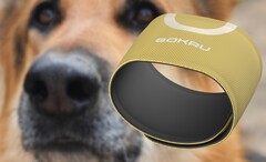O sensor Sokru, inspirado no nariz do cão, detecta compostos orgânicos voláteis. (Fonte de imagem: Lakka/Unsplash - editado)