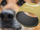 O sensor Sokru, inspirado no nariz do cão, detecta compostos orgânicos voláteis. (Fonte de imagem: Lakka/Unsplash - editado)