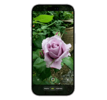 A Siri deverá ser incorporada ao aplicativo Câmera pela primeira vez, integrando inteligência visual para identificar objetos por meio de serviços externos de IA, como Google e ChatGPT, diz o vazamento.