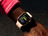 É improvável que a duração da bateria do Apple Watch Series 11 seja muito maior do que a do Series 10. (Fonte da imagem: Apple)