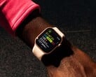 É improvável que a duração da bateria do Apple Watch Series 11 seja muito maior do que a do Series 10. (Fonte da imagem: Apple)