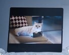 Diz-se que o Vivo X Fold5 funciona bem com o Apple Watch e também com iPhones, MacBooks e iCloud. (Fonte da imagem: Vivo)