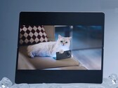 Diz-se que o Vivo X Fold5 funciona bem com o Apple Watch e também com iPhones, MacBooks e iCloud. (Fonte da imagem: Vivo)