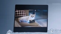 Diz-se que o Vivo X Fold5 funciona bem com o Apple Watch e também com iPhones, MacBooks e iCloud. (Fonte da imagem: Vivo)