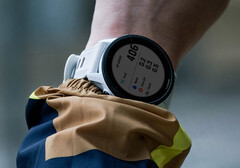 O Forerunner 955 continua a receber atualizações de software estáveis, em linha com os modelos mais recentes. (Fonte da imagem: Garmin)