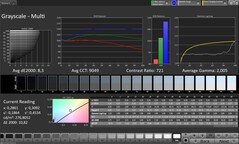 CalMAN Grayscale (Escala de cinza)