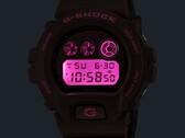 Relógio G-Shock x Hardies NYC DW-6900HH-5 da Casio