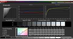 CalMAN Colorchecker Escala de cinza