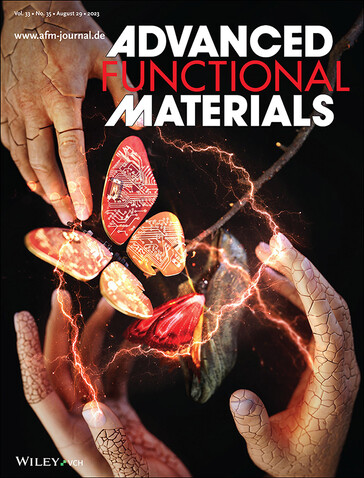 A invenção da SK On para combater os dendritos de lítio foi capa da revista Advanced Functional Materials